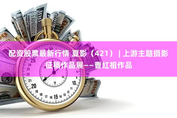 配资股票最新行情 夏影（421） | 上游主题摄影征稿作品展——曹红祖作品