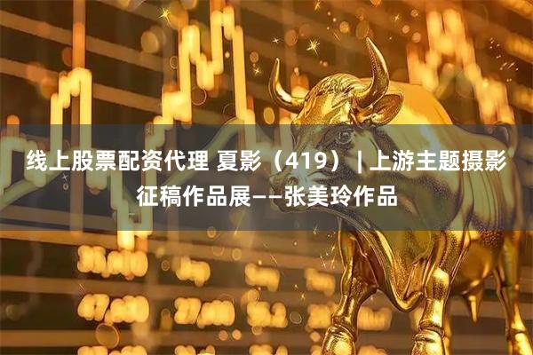线上股票配资代理 夏影（419） | 上游主题摄影征稿作品展——张美玲作品
