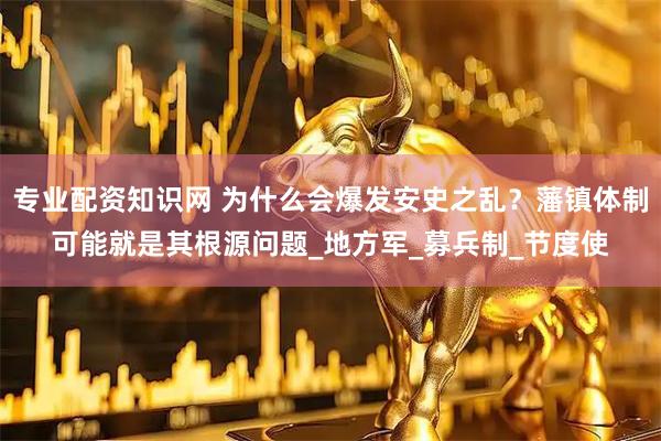 专业配资知识网 为什么会爆发安史之乱？藩镇体制可能就是其根源问题_地方军_募兵制_节度使